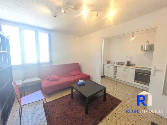 Location Appartement 2 pièces 41m² GRENOBLE 38000 - Photo 1