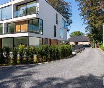 Appartement te huur - Photo 4