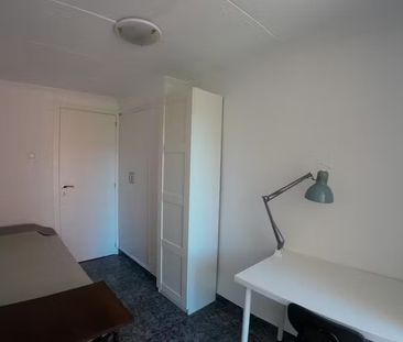 Avinguda de la Malva-Rosa, Valencia, Valencian Community 46011 - Photo 1