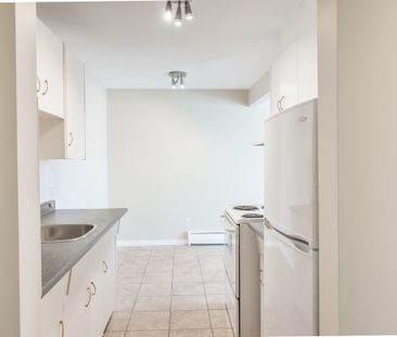 Alexander Apartments - Photo 4