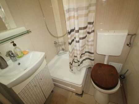 Cismigiu, inchiriere garsoniera spatioasa, bloc Liric, - Fotografie 3