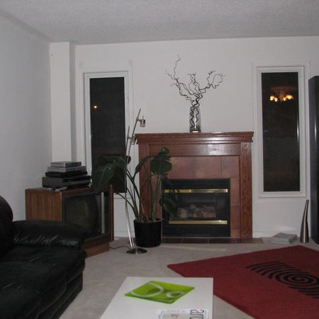 Beautiful Townhouse – Walking distance to CHEO & General Hos - Photo 4