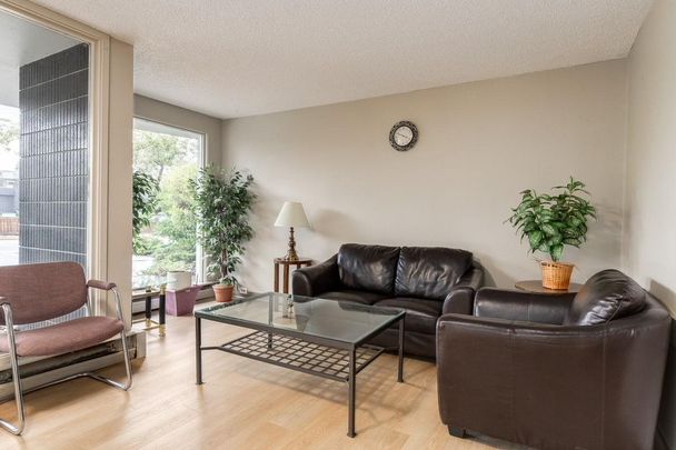 Renovated Suite - 2 Bedroom - Photo 1