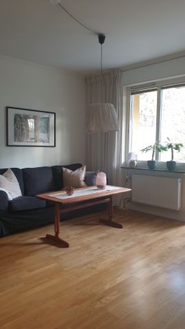 Drottninggatan, Västerås - Photo 3