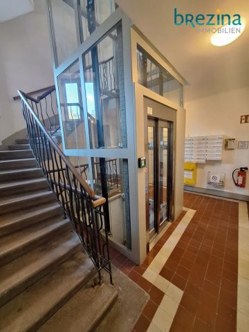Tolle Singlewohnung unbefristet und ruhig gelegen - Photo 5