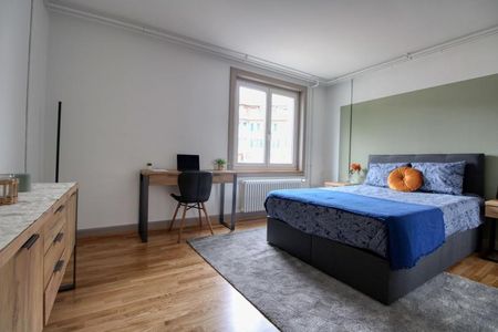 Matthew #4 - Your Ideal Coliving Space in Zurich - Photo 5