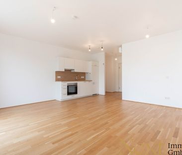 Wunderschöne 1-Zimmer-Wohnung mit Balkon nähe Hummelhofwald in Linz... - Photo 1