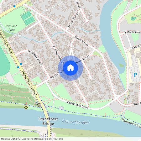 41 Collingwood Street, Hokowhitu, Palmerston North