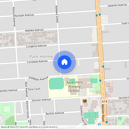 21a Condada Avenue, SA 5043, Park Holme