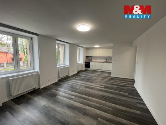 Pronájem bytu 1+kk a garsoniéry 72 m², Mlýnská 942, Český Těšín - Photo 1