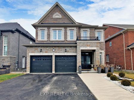 Detached Home For Lease | W8146144 - Photo 5