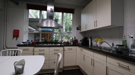 Te huur: Kamer Gestelsestraat in Eindhoven - Photo 3