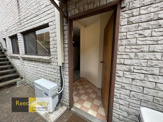 19A Viminaria Place, Warabrook - Photo 1