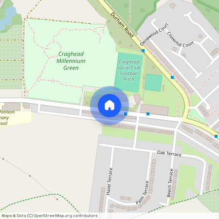 Standerton Terrace, Craghead, Stanley