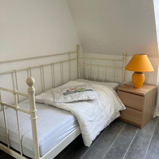 Appartement à louer, 1 pièce - Angers 49100 - Photo 1