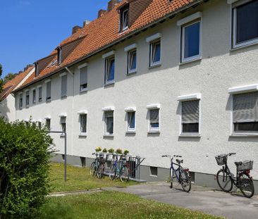 Ein besonderes Angebot! - Foto 3