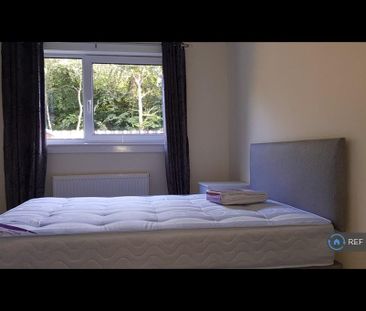 3 bedroom flat to rent - Photo 2