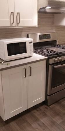 Newly renovated 2 bedroom basement suite includes utilities - Photo 1