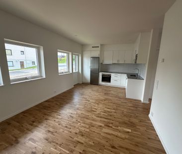 De gamlas väg, Rimbo - Foto 4