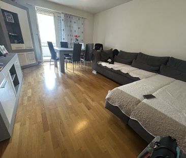 Entdecken Sie Adliswil! - Photo 2