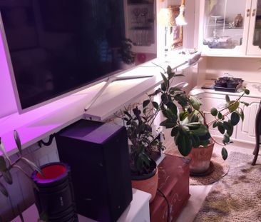 Musköstigen, Årsta Havsbad - Photo 4