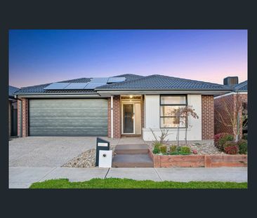 Modern Family Living with Exceptional Outdoor Entertaining - Photo 6