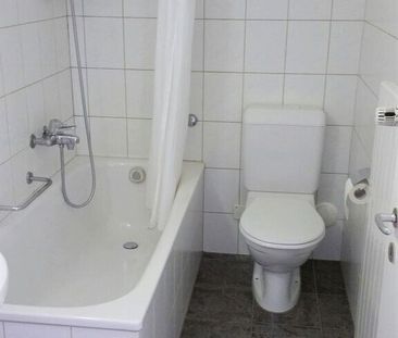 In the middle of the city and yet in the countryside - Photo 5