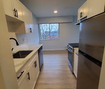 $300 Move-in Bonus - 1-Bedroom Apartment-Newly Renovated: - Photo 1