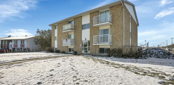 Beau Logement 1 Chambre - Gatineau - Photo 2