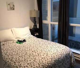 Looking for Roommate for my 2Bedroom 1Bathroom Yaletown Condo - Photo 3