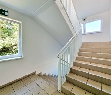 Gartenwohnung: 64,75 m² Wfl. + Terrasse + 79 m² Eigengarten | 3 Zimmer - Photo 4