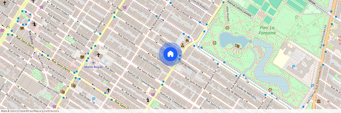 4206A Rue de Mentana, H2J3B2, Montréal (Le Plateau-Mont-Royal)