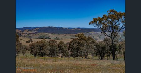 Private Country Cottage with Peaceful Rural Outlooks - Photo 5