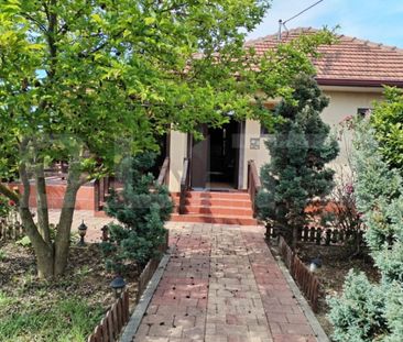 Casa, 3 camere, 693 mp teren, Lazuri - Photo 6