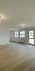 Helle 1-Zimmer-Wohnung 47m² mit Wohnküche, Badewanne & Aufzug im 19. Bezirk, Wien! - Photo 1