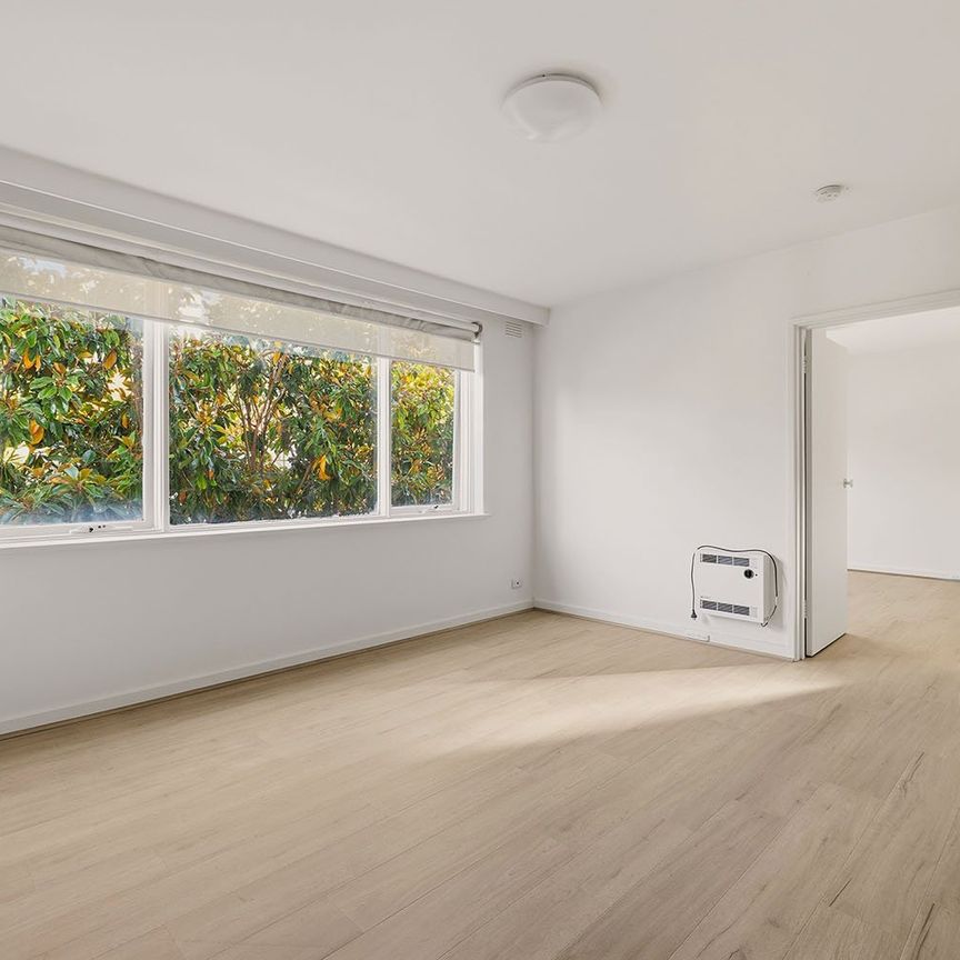 Light & Spacious Apartment! - Photo 1
