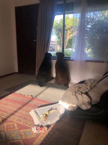 Cranbourne - Photo 2