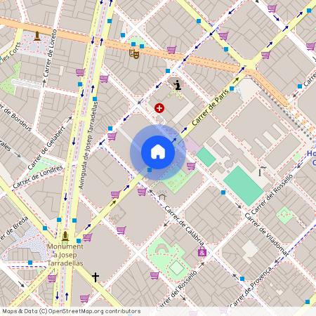 Carrer de París, Barcelona, Catalonia 08029