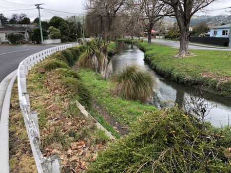 115a Fifield Terrace, St. Martins, Christchurch - Photo 5
