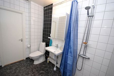 Elegant trea från sekelskiftet med generösa takhöjder, belägen på andra våningen - Foto 4