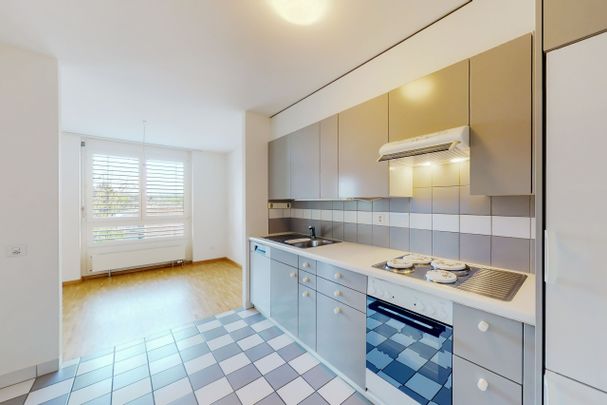 Sun-drenched and cozy apartment - Photo 1