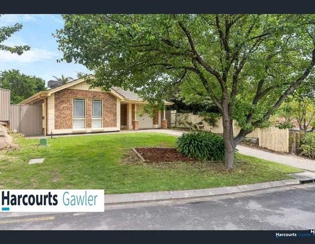 11 Lake Frome Place, Greenwith SA 5125 - Photo 1