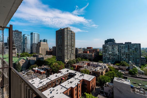 1225 Saint Marc Street, Montréal, QC - Photo 1