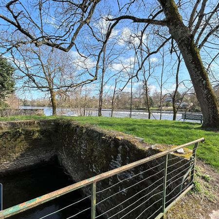 Location Appartement 2 pièces 50m² AIXE SUR VIENNE 87700 - Photo 3