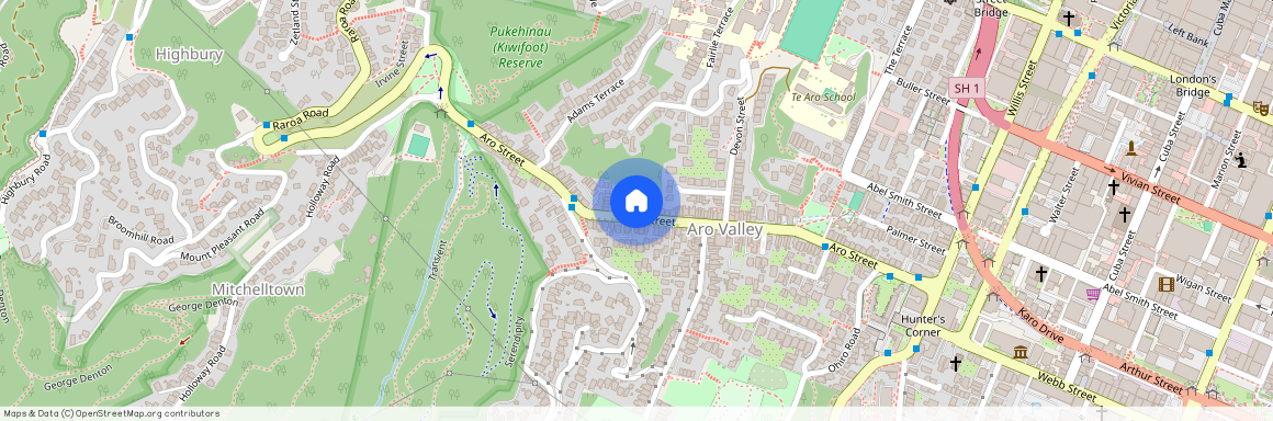 136 Aro Street, Aro Valley, Wellington