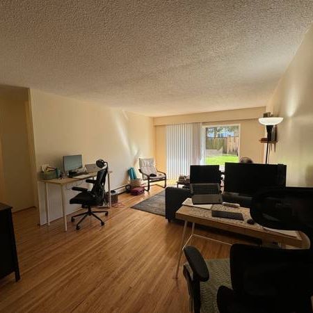 Kitsilano, Bright, Large 1 Bed, 2nd Flr, October 1st - Photo 1