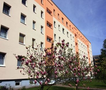 Arnold-Zweig-Straße 132 - Foto 1