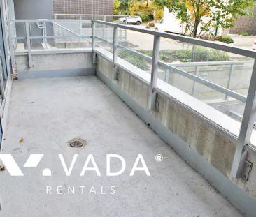 1 Bedroom Apartment For Rent in Burnaby - Photo 2