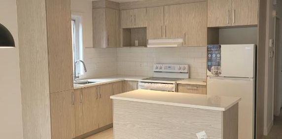 Luxueux condo neuf et moderne 4 1/2 Métro PIE-IX Montréal Hochelaga-Maisonneuve à louer - appartement / logement - Photo 2