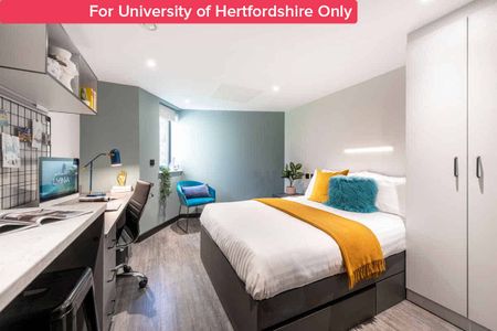 Standard Studio - Photo 5